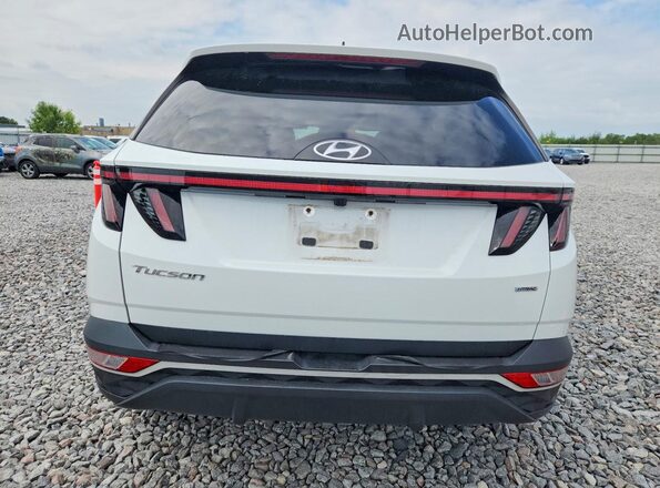 5NMJCCAEXNH158487 2022 HYUNDAI TUCSON White Rear view