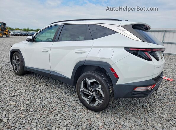 5NMJCCAEXNH158487 2022 HYUNDAI TUCSON White Rear left