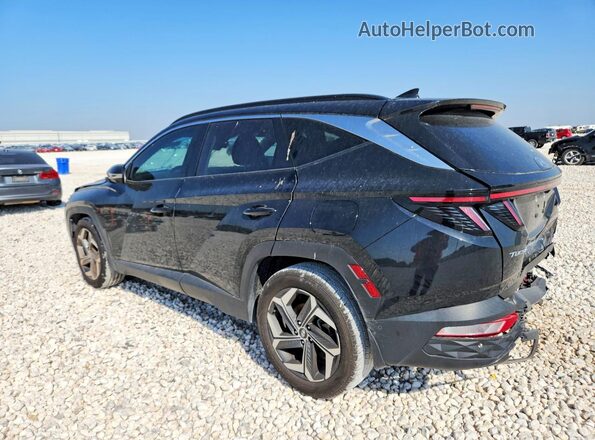 5NMJE3AE3PH276099 2023 HYUNDAI TUCSON Black Задня ліва чверть