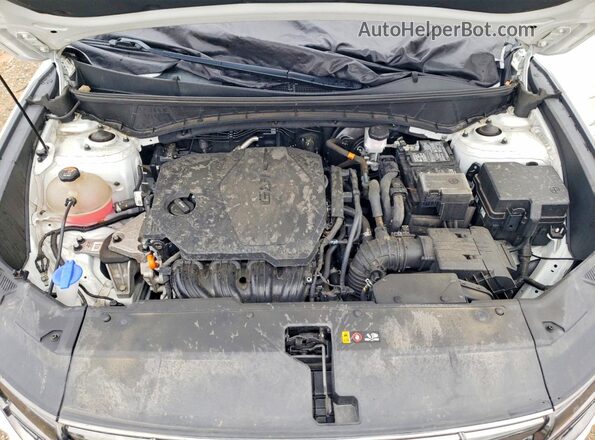 5NMJECAE2NH052612 2022 HYUNDAI TUCSON White Vista del compartimento del motor