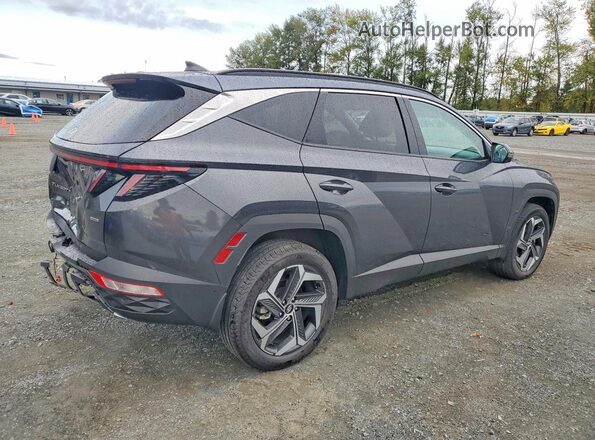 5NMJECAE5PH293485 2023 HYUNDAI TUCSON Gray Задня права чверть