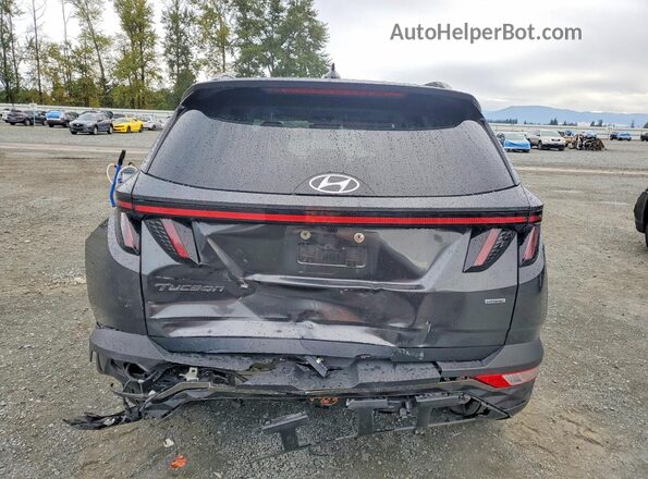 5NMJECAE5PH293485 2023 HYUNDAI TUCSON Gray Вид ззаду