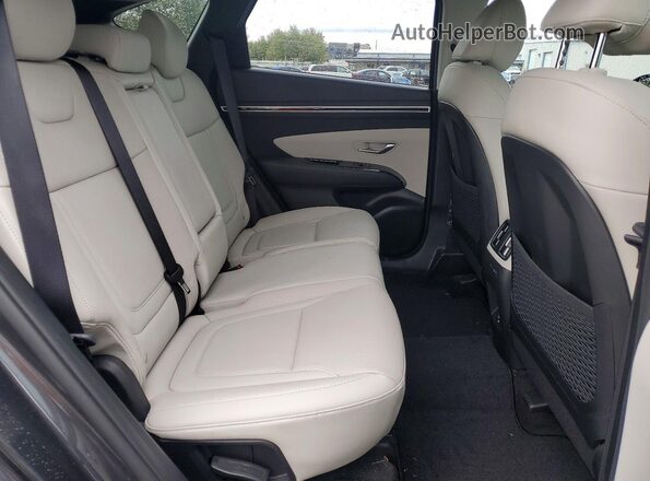 5NMJECAE5PH293485 2023 HYUNDAI TUCSON Gray Вид задньої частини салону