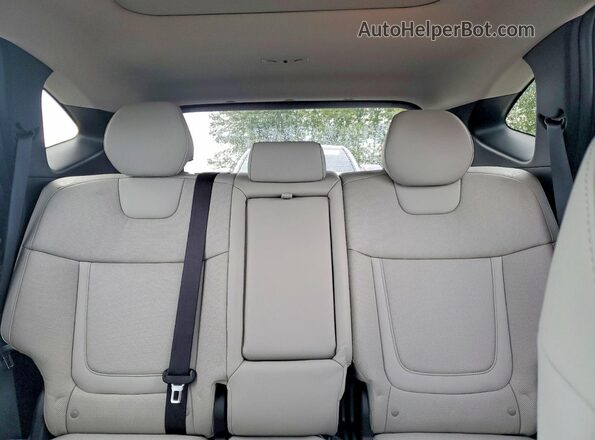 5NMJECAE5PH293485 2023 HYUNDAI TUCSON Gray Вид задніх сидінь
