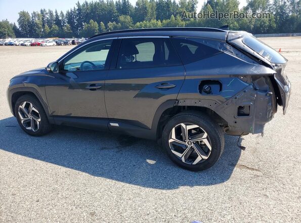 5NMJECAE9PH210527 2023 HYUNDAI TUCSON Gray უკანა მარცხენა