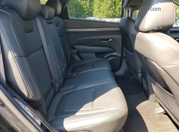 5NMJECAE9PH210527 2023 HYUNDAI TUCSON Gray უკანა სალონის ხედი