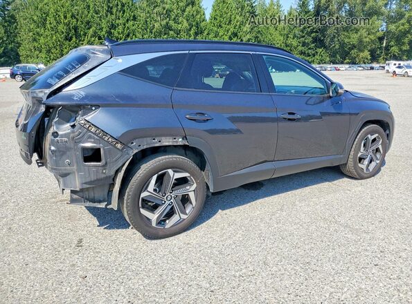 5NMJECAE9PH210527 2023 HYUNDAI TUCSON Gray უკანა მარჯვენა