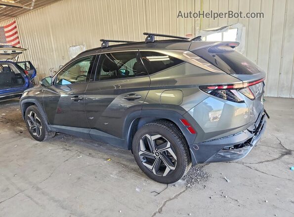 5NMJECAEXPH169096 2023 HYUNDAI TUCSON Gray Rear left