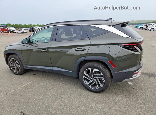 5NMJECDE0SH458489 2025 HYUNDAI TUCSON Green Trasero izquierdo