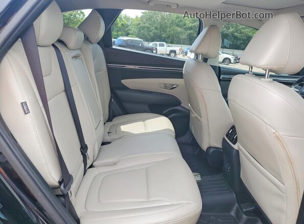 5NMJF3DE4RH345944 2024 HYUNDAI TUCSON Blue Вид задньої частини салону