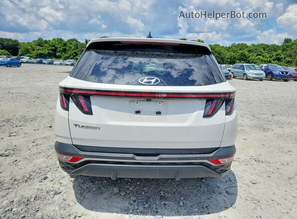 5NMJF3DEXRH381282 2024 HYUNDAI TUCSON Белый Вид сзади