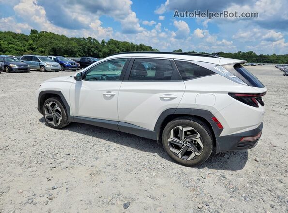5NMJF3DEXRH381282 2024 HYUNDAI TUCSON Белый Задняя левая четверть
