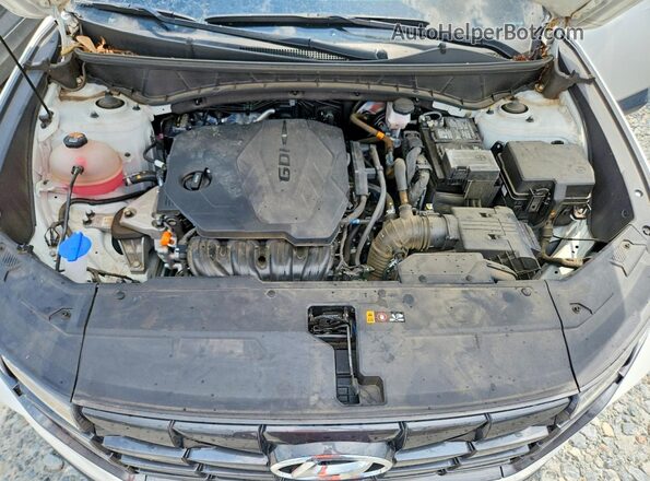 5NMJF3DEXRH381282 2024 HYUNDAI TUCSON Белый Вид подкапотного пространства