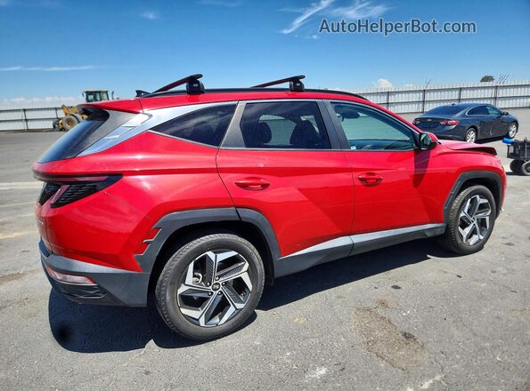 5NMJFCAE0PH206282 2023 HYUNDAI TUCSON Red უკანა მარჯვენა