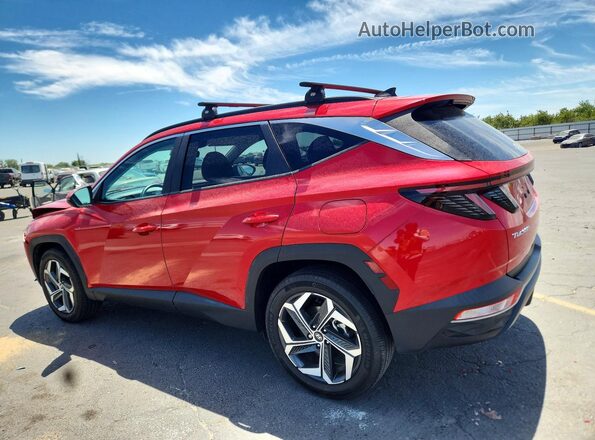 5NMJFCAE0PH206282 2023 HYUNDAI TUCSON Red უკანა მარცხენა