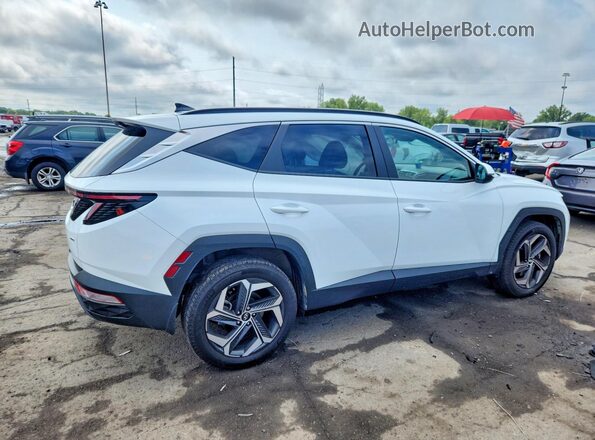 5NMJFCAE9PH291932 2023 HYUNDAI TUCSON Белый Задняя правая четверть
