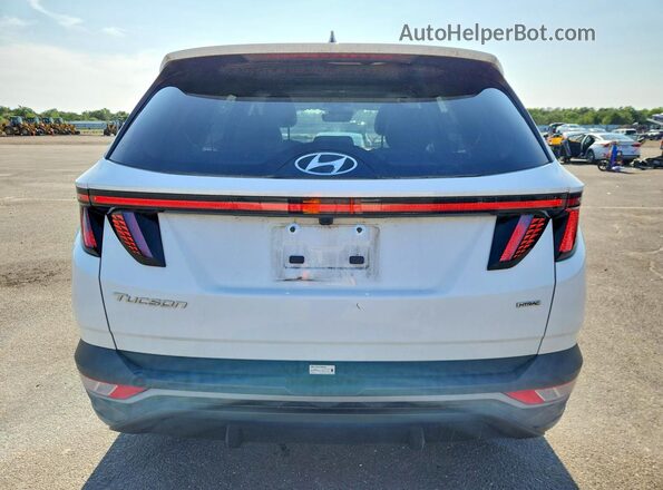 5NMJFCDE0RH414337 2024 HYUNDAI TUCSON Белый Вид сзади