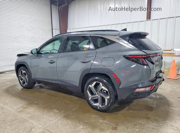 5NMJFCDE2RH407759 2024 HYUNDAI TUCSON Gray Tył lewy