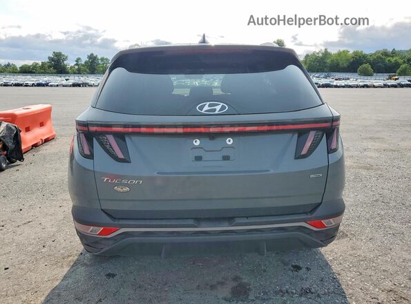 5NMJFCDE3RH380345 2024 HYUNDAI TUCSON Серый Вид сзади