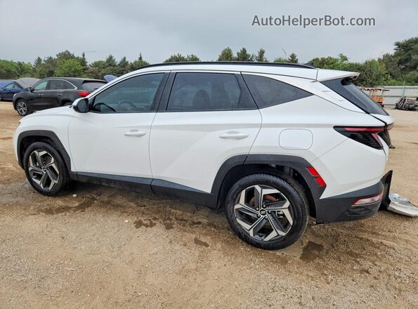 5NMJFCDE4RH393136 2024 HYUNDAI TUCSON White Հետևի ձախ