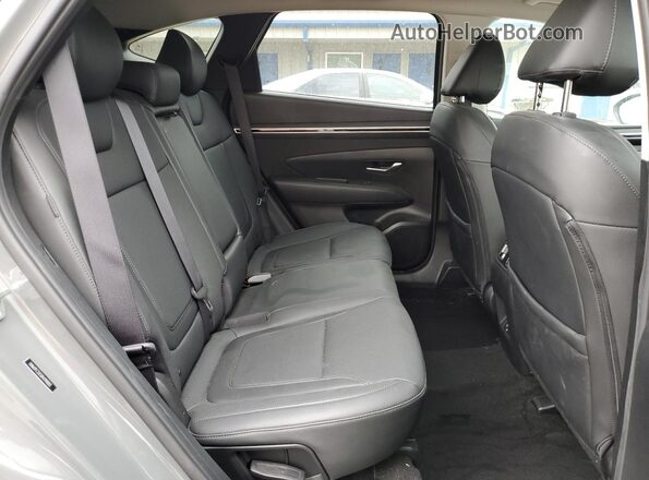5NMJFCDE5RH298083 2024 HYUNDAI TUCSON Gray Սալոնի հետևի տեսք