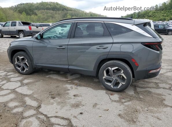 5NMJFCDE5RH298083 2024 HYUNDAI TUCSON Gray Հետևի ձախ
