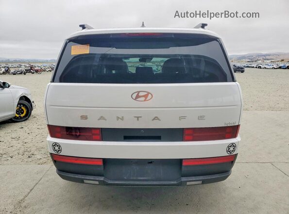 5NMP24G12RH015515 2024 HYUNDAI SANTA White უკანა ხედი