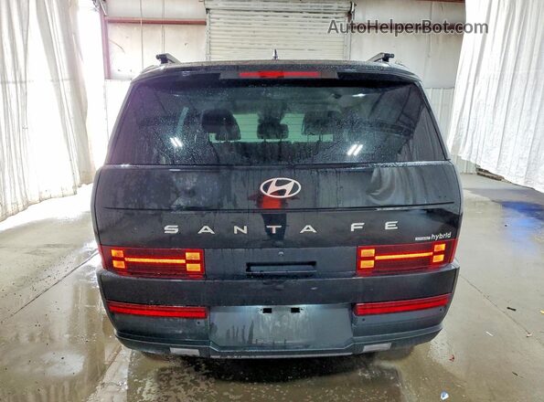 5NMP2DG10SH039978 2025 HYUNDAI SANTA Black Rear view