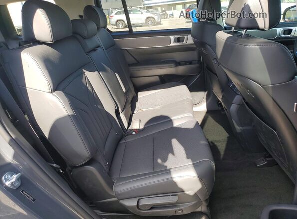 5NMP2DG18TH113293 2026 HYUNDAI SANTA Серый Вид задней части салона