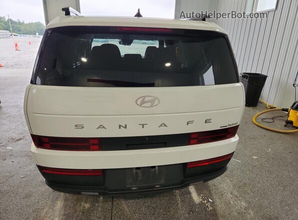 5NMP2DG1XRH003273 2024 HYUNDAI SANTA Белый 