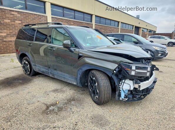 5NMP2DGL5SH098946 2025 HYUNDAI SANTA Зеленый Передняя правая четверть