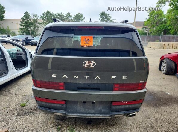 5NMP2DGL5SH098946 2025 HYUNDAI SANTA Зеленый Вид сзади
