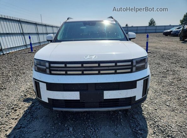 5NMP2DGL5SH138149 2025 HYUNDAI SANTA White წინა ხედი