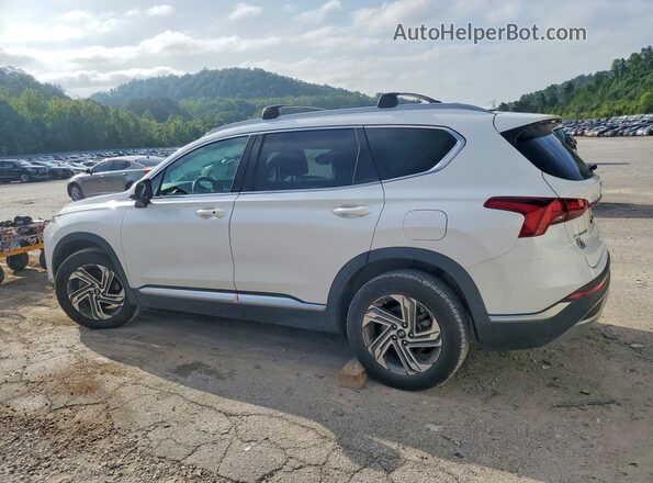 5NMS24AJXNH397743 2022 HYUNDAI SANTA White უკანა მარცხენა