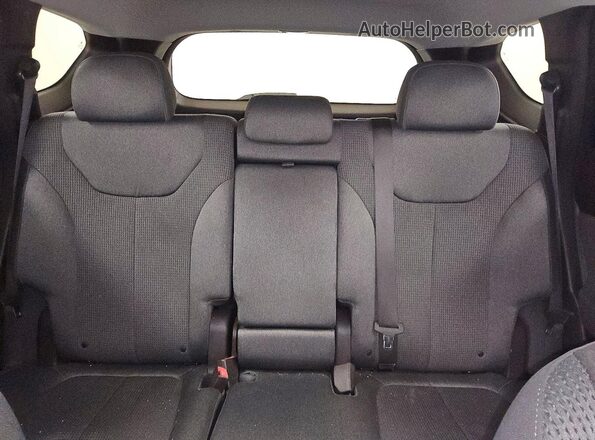 5NMS2CAD8KH088742 2019 HYUNDAI SANTA Blue Rear seats view
