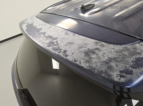 5NMS2CAD8KH088742 2019 HYUNDAI SANTA Blue 