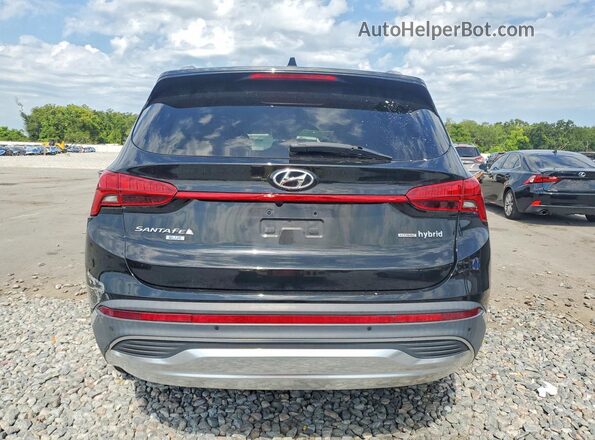 5NMS2DA1XPH012118 2023 HYUNDAI SANTA Черный Вид сзади