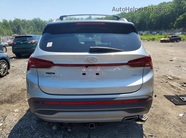 5NMS2DAJ5PH503129 2023 HYUNDAI SANTA Gray Widok z tyłu