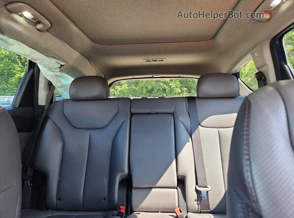 5NMS3CAA4LH200781 2020 HYUNDAI SANTA Синий Вид задних сидений