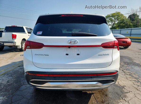5NMS3DA19PH015914 2023 HYUNDAI SANTA White უკანა ხედი