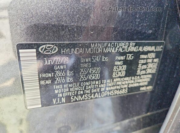 5NMS54AL0PH596683 2023 HYUNDAI SANTA Charcoal Вид наклейки з VIN-кодом