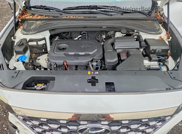 5NMS5CAD5LH210935 2020 HYUNDAI SANTA Белый Вид подкапотного пространства