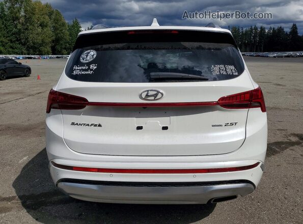 5NMS5DALXPH611254 2023 HYUNDAI SANTA White Widok z tyłu