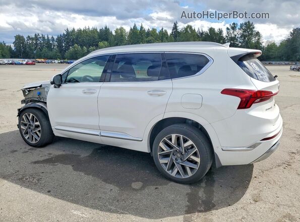 5NMS5DALXPH611254 2023 HYUNDAI SANTA White Tył lewy