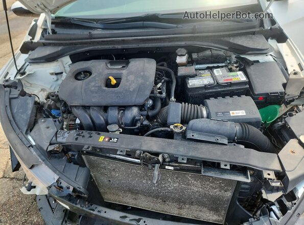 5NPD74LF5KH483835 2019 HYUNDAI ELANTRA White Սալոնի հետևի տեսք
