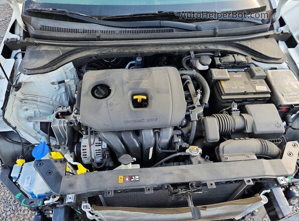 5NPD74LF8LH590203 2020 HYUNDAI ELANTRA Белый Вид задней части салона