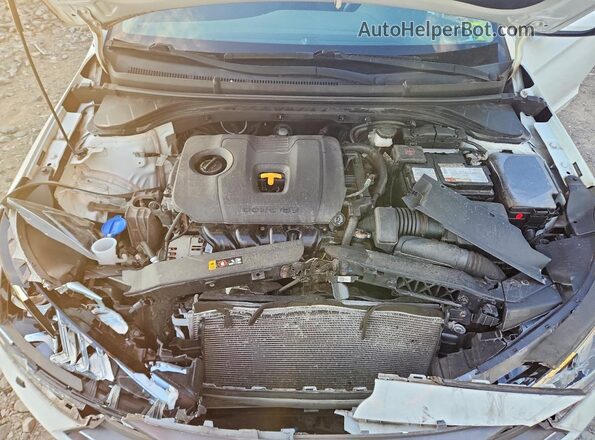 5NPD84LF2LH528440 2020 HYUNDAI ELANTRA White Սալոնի հետևի տեսք