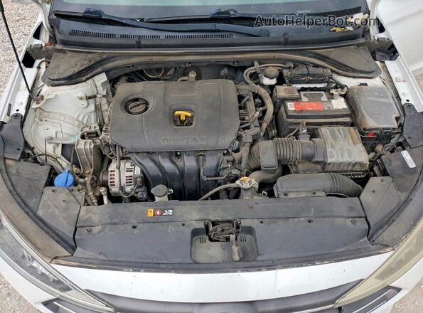 5NPD84LF2LH573362 2020 HYUNDAI ELANTRA White Սալոնի հետևի տեսք