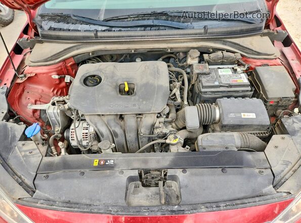 5NPD84LF6KH404735 2019 HYUNDAI ELANTRA Red Սալոնի հետևի տեսք