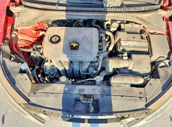 5NPD84LF7LH533746 2020 HYUNDAI ELANTRA Red Սալոնի հետևի տեսք